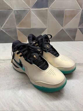 Nike LeBron James Basketball Shoes